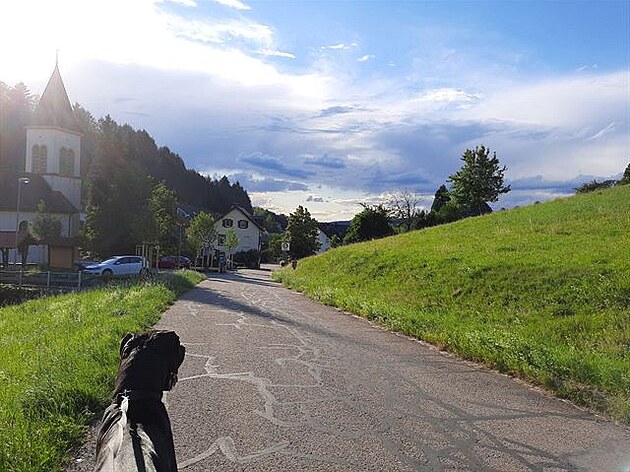 Veerní procházka po okolí Suggentalu. Night a velká prázdninová cesta I.