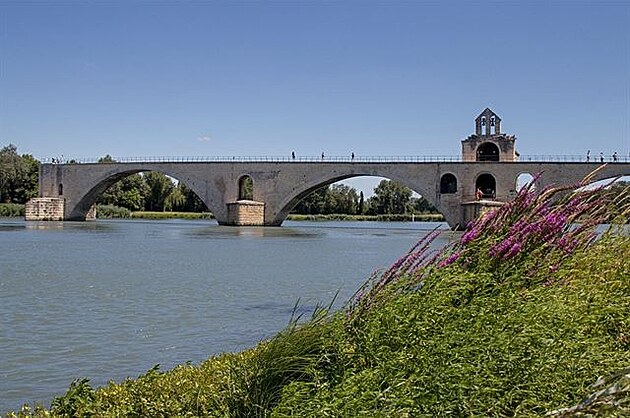Avignonský plmost