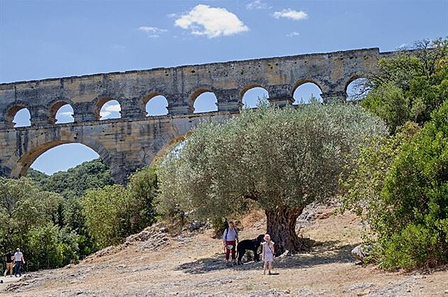 Pont du Gard