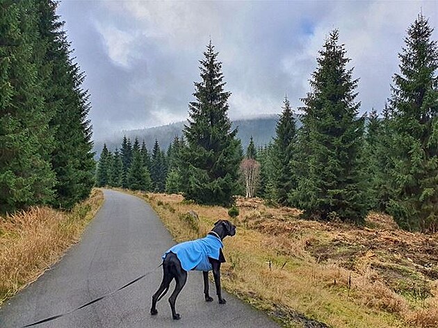 Návrat na Smdavu - ani Jizera z mrak nevykoukne