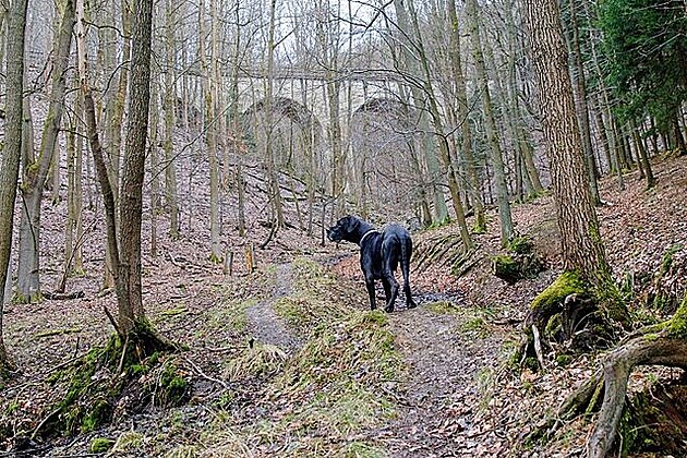 Karlovské buiny 13. bezna 2021. Karlovský viadukt nad námi