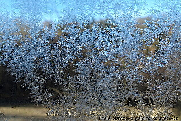 Zamrzlé okno