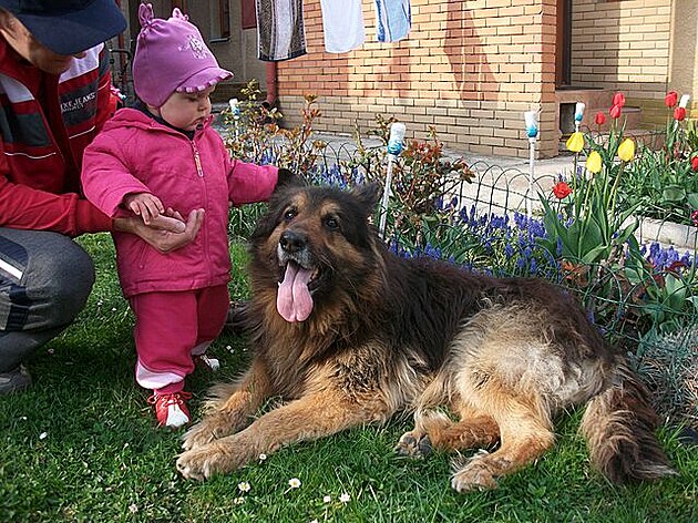 Griffa odkoukával od Akího i jak se chovat k malým dtem, ale kdy pila na...