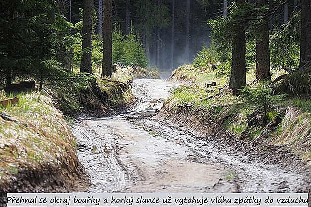 Pehnal se okraj bouky a horké slunce u vytahuje vláhu