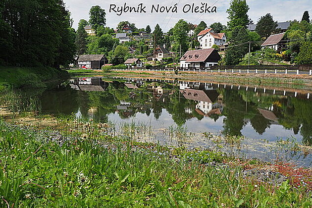 Rybník Nová Oleka