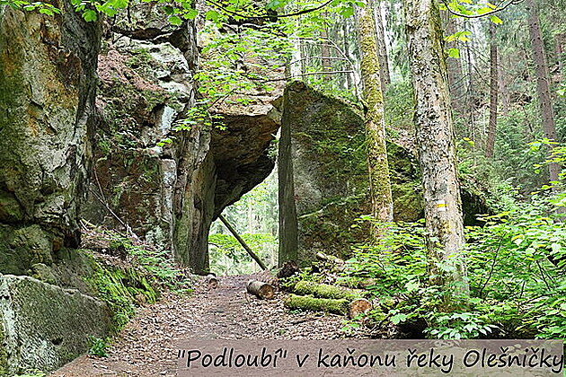 Podloubí v kaonu eky Oleniky