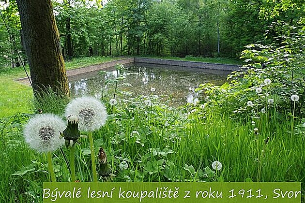 Bývalé lesní koupalit z r. 1911, Svor