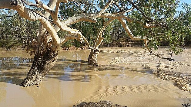 Cesta do oblasti Innamincka, Austrálie