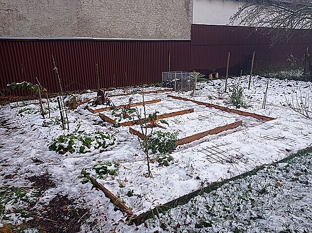 Zahrada, leden 2022
