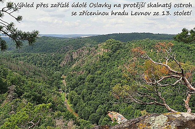 Výhled pes zaízlé údolí Oslavky na protjí skalnatý ostroh se zíceninou...