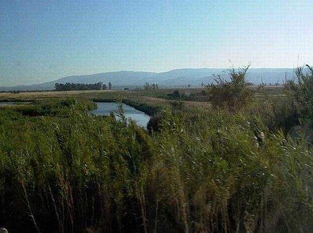 sever je vlhký (pohled na Galilejské pohoí pohoí z Chulského údolí)