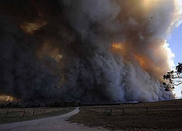Kingake Bushfires. Victoria 3