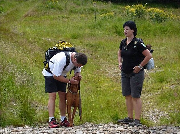 strá NP v civilu