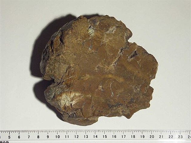 1 Jaspis z Devohostic s náznakem profilu neandertálce