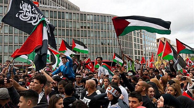 Palestinská demonstrace v Berlín, 2014