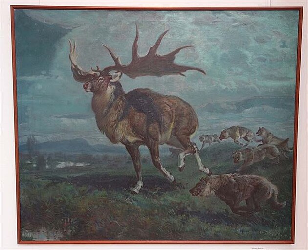 Zdenk Burian, Megaloceros giganteus