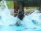 Závody ve skocích do vody Heroltice, zá�í 2013