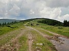 Apuseni - pohoí Bihor. (Pky Rumunskem, 2016)