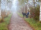 Walchsee ráno: odpoinek na lavice (mokré)