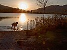 Walchsee veer: e pes nesmí do vody, jsem zjistila a dodaten