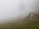 Heuberg: a houstne...