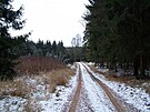 Na Plze�!