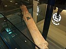 Vodárna - muzeum - renesanní keramické potrubí pro Praský hrad