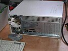 Kurs informatiky 7