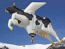 balóny 20