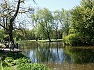 Stromovka - jezírko
