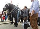 Oktoberfest 3