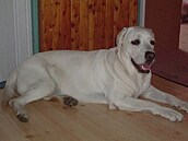 Betty