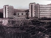 Koldm1