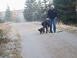 6 - je teba koika podn oichat