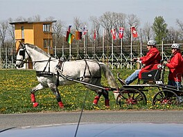 1 Rudolfv pohr v Kladrubech