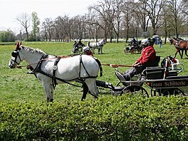 37 Rudolfv pohr v Kladrubech