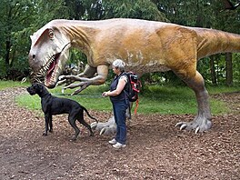 Dinopark - doga je mal pes