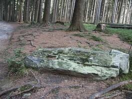 15 Kameny vypadajc jako ztrouchnivl kmeny strom v lese na Rejvzu.