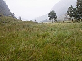 13 - Glen Nevis - a u zase pr