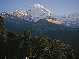 Okol Tarapani Lodge se probouz