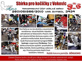 Letk na sbrku pro koky z Vokovic