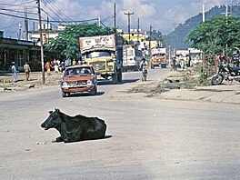 Pokhara 1996: Posvtn krva uprosted kiovatky