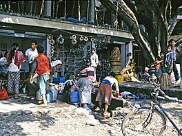 Pokhara 1996: eny u kamennho labu perou prdlo