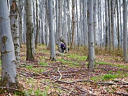 Ralsko duben 2017: Dvojbuk