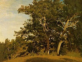 Fountainebleau - Aux Georges d'Apremont, Jean-Baptiste Camille Corot, mezi...