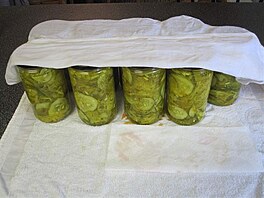 Prvn vrka bread and butter pickles - americkch sladkokyselch okurek