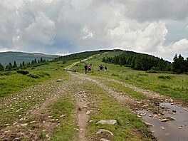 Apuseni - poho Bihor. (Pky Rumunskem, 2016)