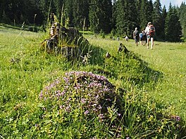 Apuseni - von tu matedouka. (Pky Rumunskem, 2016)