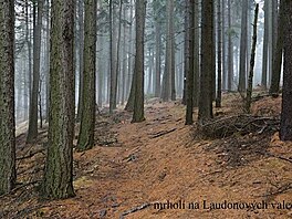 Laudonovy valy. Zpten cesta z Ruprechtickho piku 25.3.2016