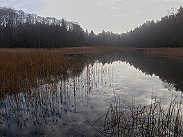 Strovsk rybnk. Ralsk pahorkatina